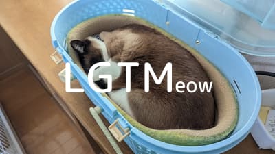 lgtm-cat-image