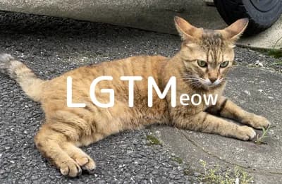 LGTM image