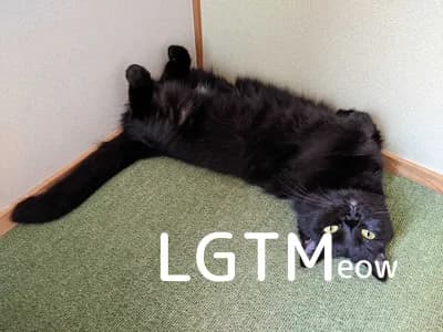 LGTM image