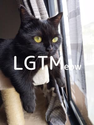 lgtm-cat-image