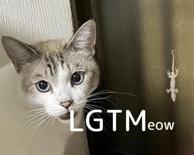 LGTM image