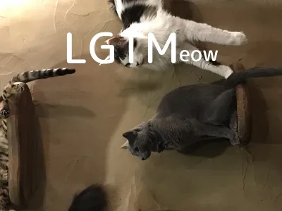 LGTM image