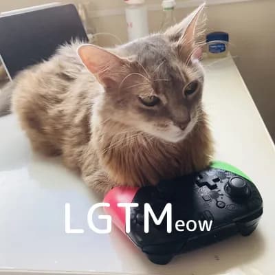 LGTM image