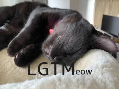 LGTM image