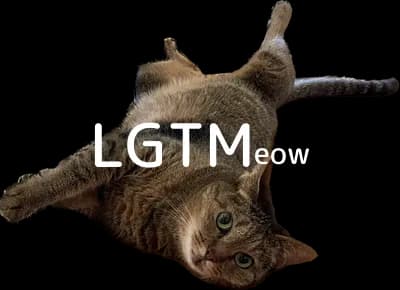 LGTM image