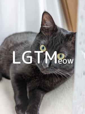 lgtm-cat-image