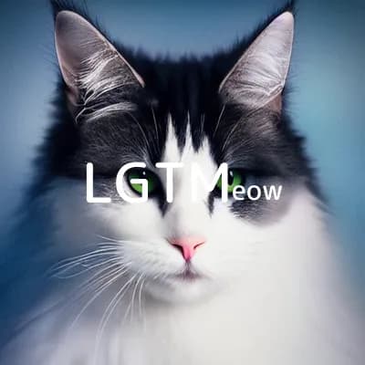 LGTM image