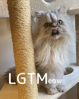 LGTM image