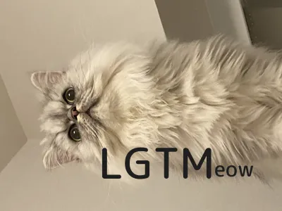 LGTM image