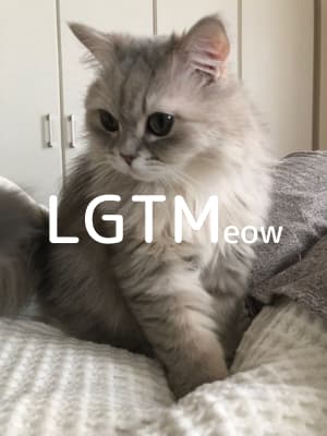 lgtm-cat-image