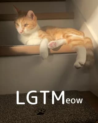 LGTM image