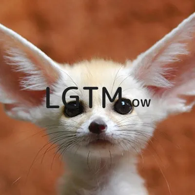 LGTM image