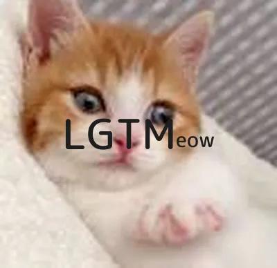 LGTM image