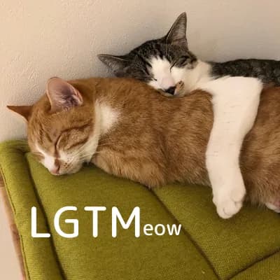 LGTM image