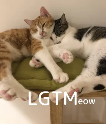 LGTM image