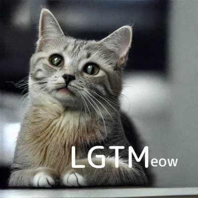 LGTM image