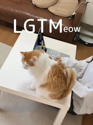 lgtm-cat-image