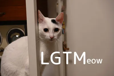 LGTM image