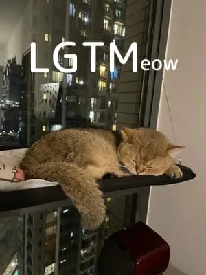 LGTM image