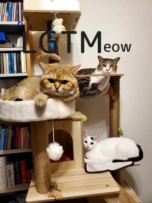 LGTM image