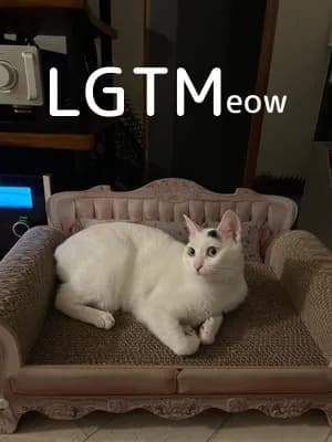 LGTM image