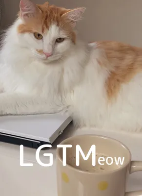 LGTM image