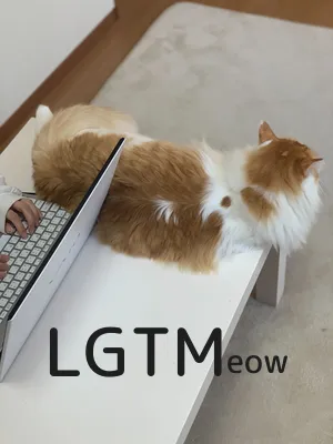 LGTM image