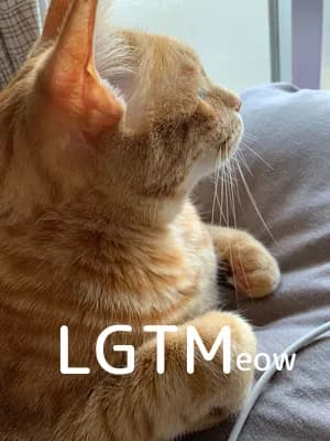 LGTM image