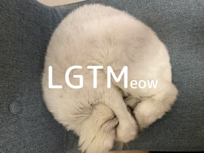 lgtm-cat-image