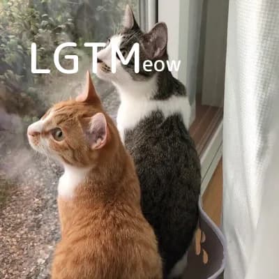 LGTM image