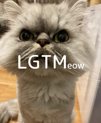 LGTM image