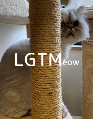 LGTM image