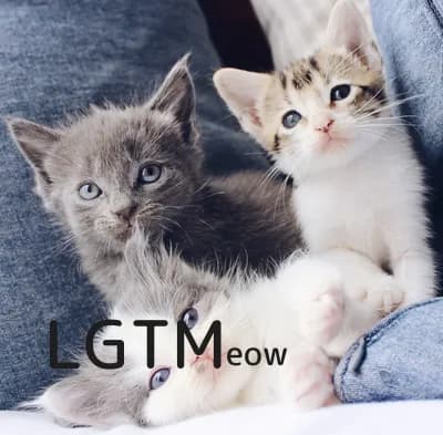 LGTM image