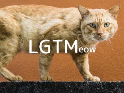 LGTM image