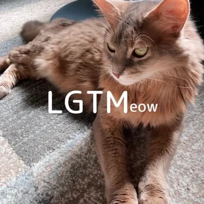 LGTM image