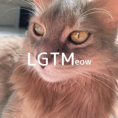 LGTM image