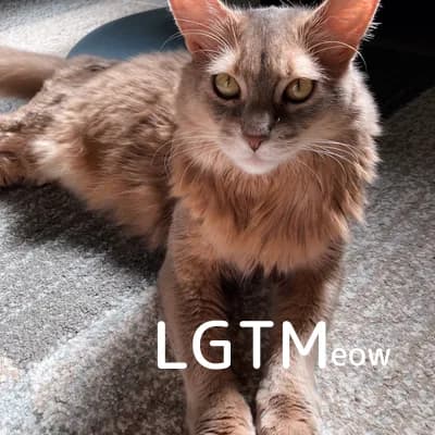 LGTM image