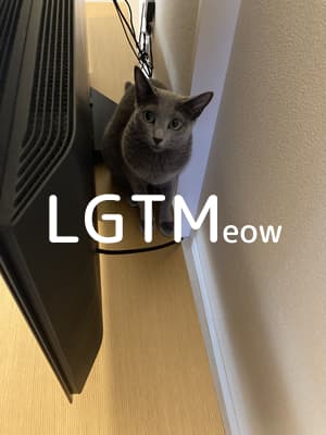 lgtm-cat-image