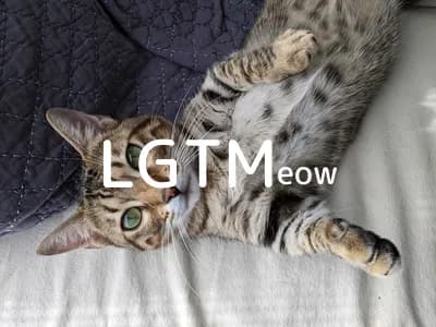 LGTM image