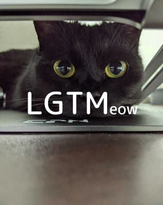 lgtm-cat-image