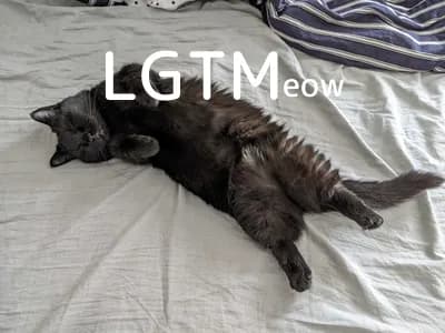 LGTM image