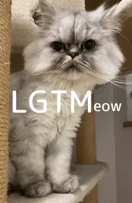 LGTM image