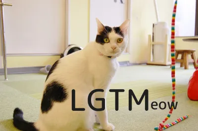 LGTM image