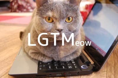 lgtm-cat-image