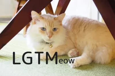 LGTM image