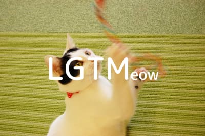 lgtm-cat-image