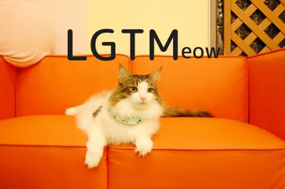 LGTM image