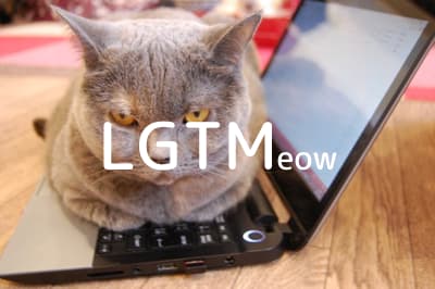 LGTM image