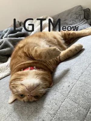 LGTM image