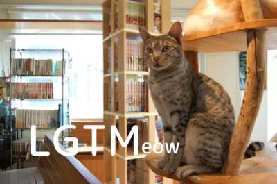 LGTM image
